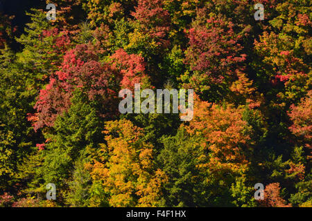 Couleurs d'automne à John Boyd Thatcher State Park, New York, USA. Banque D'Images