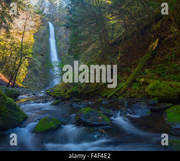 USA. De l'Oregon. Du point de vue ultra-large vue panoramique de Tunnel Falls , 6 miles jusqu'à la trailhead, dans la Columbia Gorge. Tailles disponibles (grand format). Banque D'Images