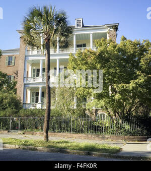 Charleston, Caroline du Sud, USA. 16 Oct, 2015. Sabal Palmetto le est l'une des 15 espèces d'apparence similaire et communément appelée Caribbean palm. Le Palmetto avec son signe distinctif et touffue, écrasés à frondes de la Couronne de même que c'est tronc droit et poussiéreux de couleur peut être vu sur le drapeau de la Caroline du Sud. Coupe de frondes se sont réunis le Palmetto palm est également orne le Charleston drapeau municipal. --- Un grand pam Sabal Palmetto est le long d'en face d'une maison le long de la rue de la batterie du sud de White Point Jardin. © David Bro/ZUMA/Alamy Fil Live News Banque D'Images