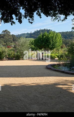 Cour intérieure et vignoble Domaine d'établissement vinicole dans la région de Sonoma en Californie Banque D'Images