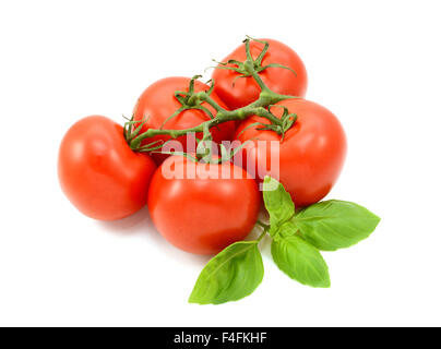 5 tomates rouges mûres sur la vigne avec des feuilles de basilic frais, isolé sur fond blanc Banque D'Images