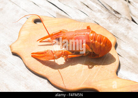 Homard cuit sur une planche à découper en bois. Dans le contexte de bois vieilli. Banque D'Images