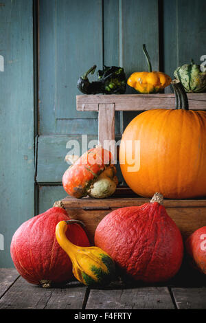 Réplique des citrouilles décoratives et comestibles sur coffre en bois sur fond de bois. Banque D'Images