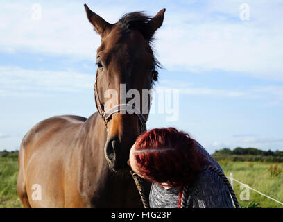 Emily et son alimentation Cheval et le pâturage - grand cheval brun Banque D'Images