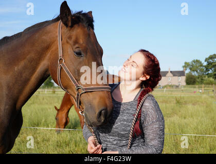 Emily et son alimentation Cheval et le pâturage - grand cheval brun Banque D'Images