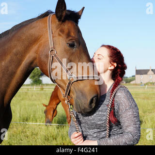 Emily et son alimentation Cheval et le pâturage - grand cheval brun Banque D'Images