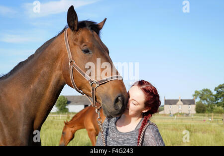 Emily et son alimentation Cheval et le pâturage - grand cheval brun Banque D'Images