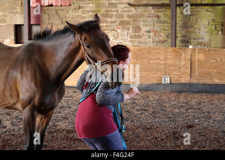 Emily et son alimentation Cheval et le pâturage - grand cheval brun Banque D'Images