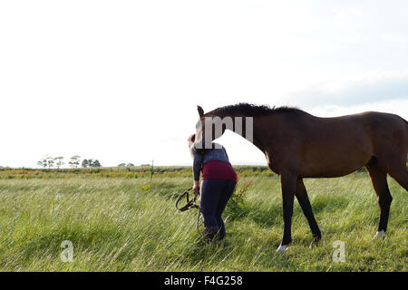 Emily et son cheval et le pâturage d'alimentation Banque D'Images