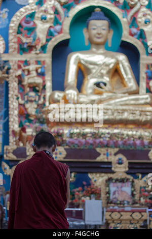 Un moine en prière à Bouddha, Namdroling Monastère Nyingmapa, monastère tibétain près de Coorg, Karnataka, Inde Banque D'Images