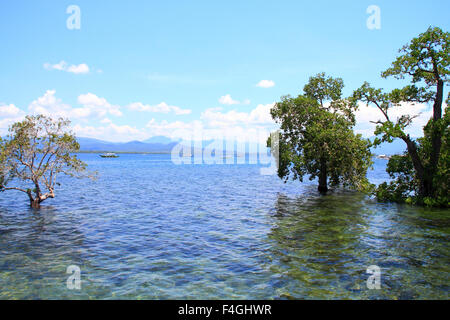 Parc National de la rivière souterraine de Puerto-Princesa Banque D'Images