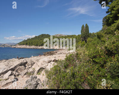 L'île de Lokrum, 15. min. de la vieille ville de Dubrovnik Croatie en bateau, une oasis verte avec des sentiers, falaises et plages Banque D'Images