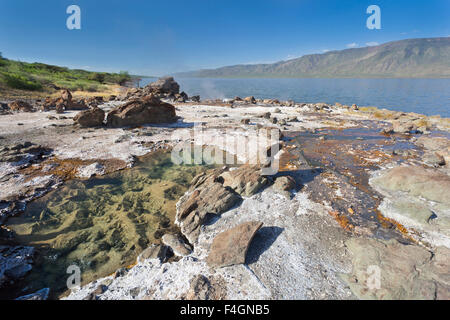 Hot springs au lac Bogoria, au Kenya. Banque D'Images