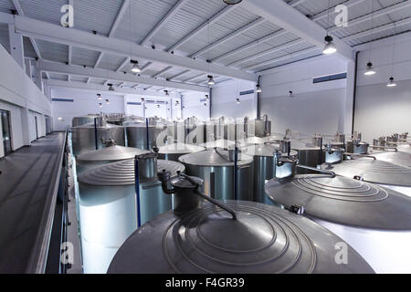 Des cuves en acier inoxydable pour la fermentation du vin en usine Banque D'Images