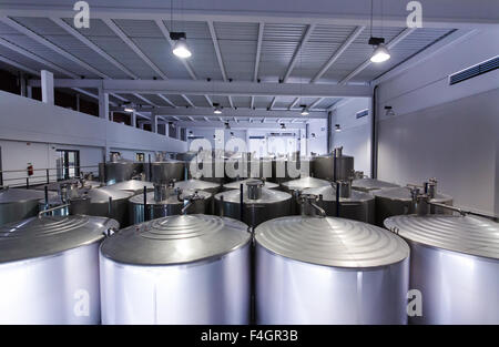 Des cuves en acier inoxydable pour la fermentation du vin en usine Banque D'Images