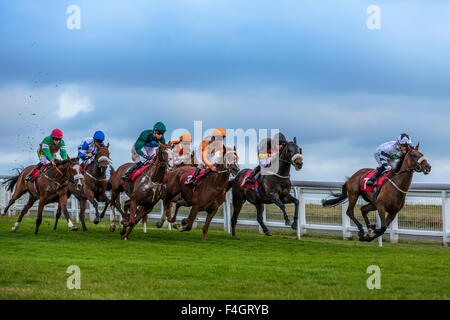 Passionnant et spectaculaire course de chevaux à l'hippodrome d'Epsom, Epsom Downs, Surrey, Angleterre, Royaume-Uni Banque D'Images