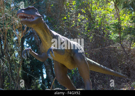 Dinosaure carnivore redoutable Tyrannosaurus Rex Banque D'Images