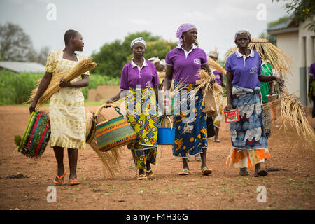 Le commerce équitable, des paniers de paille sont tissés par les femmes de Amongtaaba Vanniers Groupe dans le district Bolgatanga (Ghana). Banque D'Images