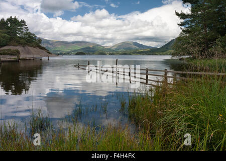 Clôture inondée et réflexions, Derwent Water à vers Blencathra près de Keswick dans le Lake District, Cumbria, England, UK Banque D'Images