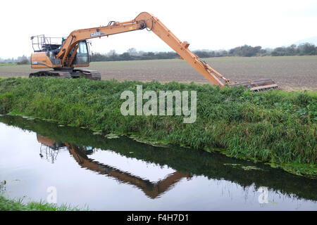 Fossé et Rhyne pelleteuse compensation prêt pour travailler sur les niveaux dans les régions rurales de Somerset, Octobre 2015 Banque D'Images