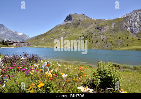 Lac de Tignes et fleurs en France Banque D'Images