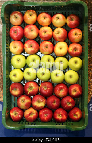 Divers les pommes dans des caisses à farmers market Banque D'Images