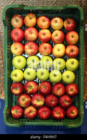 Trois types de pommes sur le marché de détail Banque D'Images