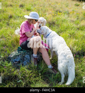 Female hiker pauses pour nourrir deux chiens Golden Retriever de couleur platine Banque D'Images