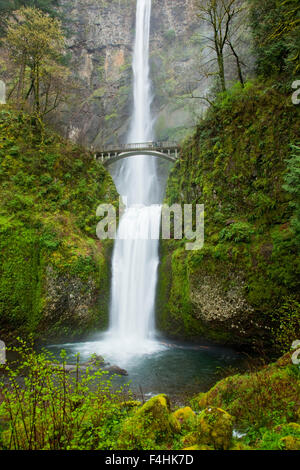 Multnomah Falls, Columbia Gorge NRA, Oregon, USA. Banque D'Images