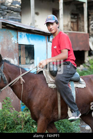 Un cheval à Zhibiani journalier, un des quatre hameaux comprenant Ushguli communauté dans le district de Svaneti, montagnes du Caucase, Banque D'Images