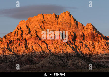 Aube lumière sur le mont Wilson à Red Rock National Recreation Area près de Las Vegas, Nevada. Banque D'Images