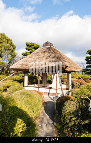 Le Japon, château Yamato-Koriyama. Maison de thé du jardin japonais, avec toit de chaume, surround par des haies et des sentiers. La journée, un soleil brillant. Banque D'Images
