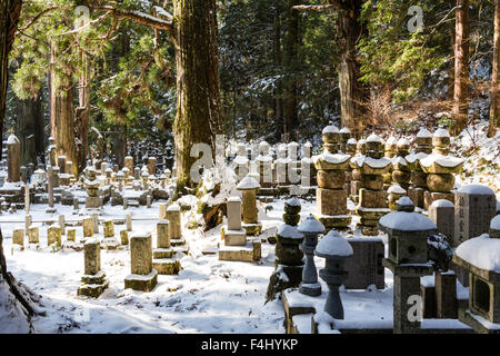 Koyasan, Japon, cimetière Okunoin, hiver, neige. Divers monuments en pierre, des pierres tombales, et des lanternes à piédestal le dégagement en forêt de cèdres. Banque D'Images