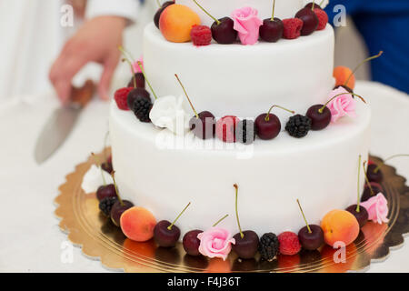 Le couple couper le gâteau de mariage Banque D'Images