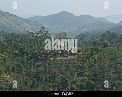 Paysage de montagnes et de plantations de thé autour de Ella, dans les hautes terres du Sri Lanka, en Asie Banque D'Images