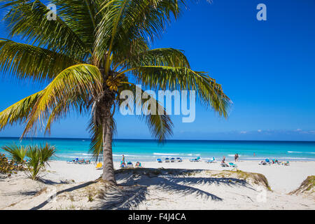 La plage de Varadero, Varadero, Cuba, Antilles, Caraïbes, Amérique Centrale Banque D'Images