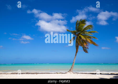 Plage de Cap Cana, Punta Cana, République dominicaine, Antilles, Caraïbes, Amérique Centrale Banque D'Images