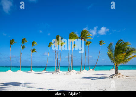 Juanillo Beach, Cap Cana, Punta Cana, République dominicaine, Antilles, Caraïbes, Amérique Centrale Banque D'Images