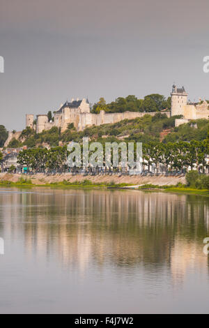 Dans la rivière Vienne, vers la ville et château de Chinon, Indre et Loire, France, Europe Banque D'Images