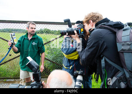 Le zoo de Whipsnade, Bedfordshire, Royaume-Uni, le 26 août 2015. Photographes à un photocall pour le zoo de Whipsnade annuel de la pesée. Banque D'Images