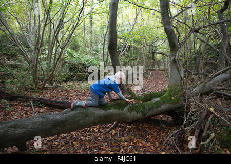 Blackbush & vingt acres Shaw, Cudham, Greater London, Angleterre, Royaume-Uni Banque D'Images