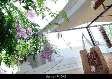 Marché Hippie de Las Dalias, à San Carlos sur Ibiza Banque D'Images