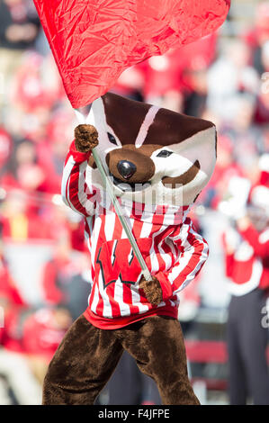 Madison, WI, USA. 17 Oct, 2015. Au cours de l'Blaireau Bucky NCAA Football match entre le Purdue Boilermakers et le Wisconsin Badgers au Camp Randall Stadium à Madison, WI. John Fisher/CSM/Alamy Live News Banque D'Images