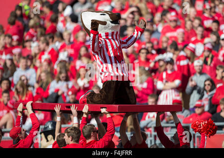 Madison, WI, USA. 17 Oct, 2015. Au cours de l'Blaireau Bucky NCAA Football match entre le Purdue Boilermakers et le Wisconsin Badgers au Camp Randall Stadium à Madison, WI. John Fisher/CSM/Alamy Live News Banque D'Images