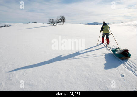 Woman pulling sled sur snow covered landscape Banque D'Images