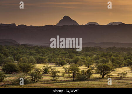 Par le paysage Twyfelfontein Country Lodge, Namibie, Afrique Banque D'Images