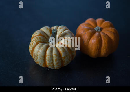 Les arlequins courges, citrouilles - Halloween Banque D'Images