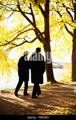 Couple de marcher sous les arbres d'automne par lac, vue arrière Banque D'Images