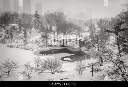 Central Park's Pond et Gapstow Bridge pendant une tempête. Scène d'hiver tranquille au cœur de Manhattan, New York City Banque D'Images