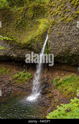 COLUMBIA RIVER GORGE, Oregon, USA - La prêle Falls, une cascade dans la gorge de la rivière Columbia. Banque D'Images